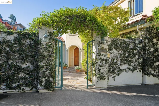 a view of a house with a tree and plants