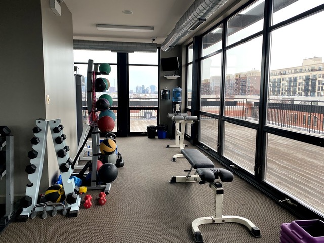 1070 West 15th Street, Unit 402 Chicago, IL 60608 - Photo 18 of 19