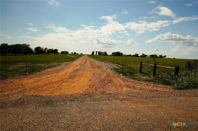 a view of a road with plants and trees