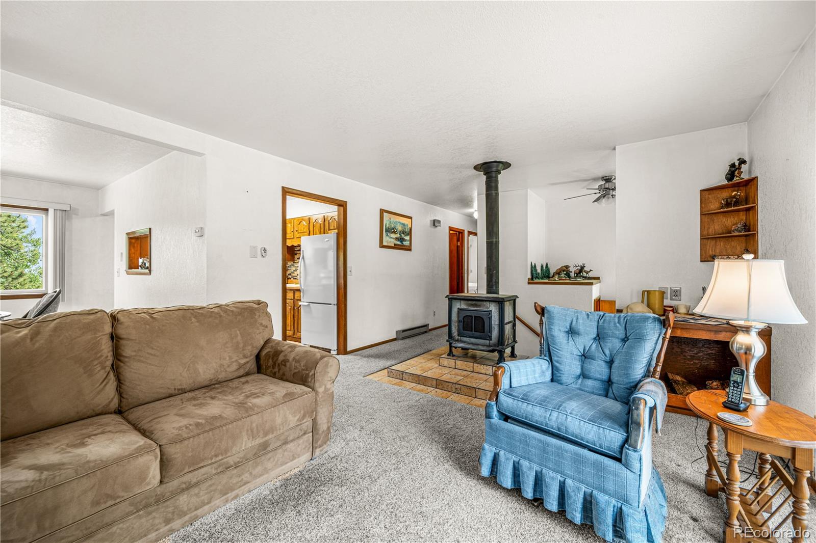 206 Little Horn Road Westcliffe, CO 81252 - Photo 8 of 35
