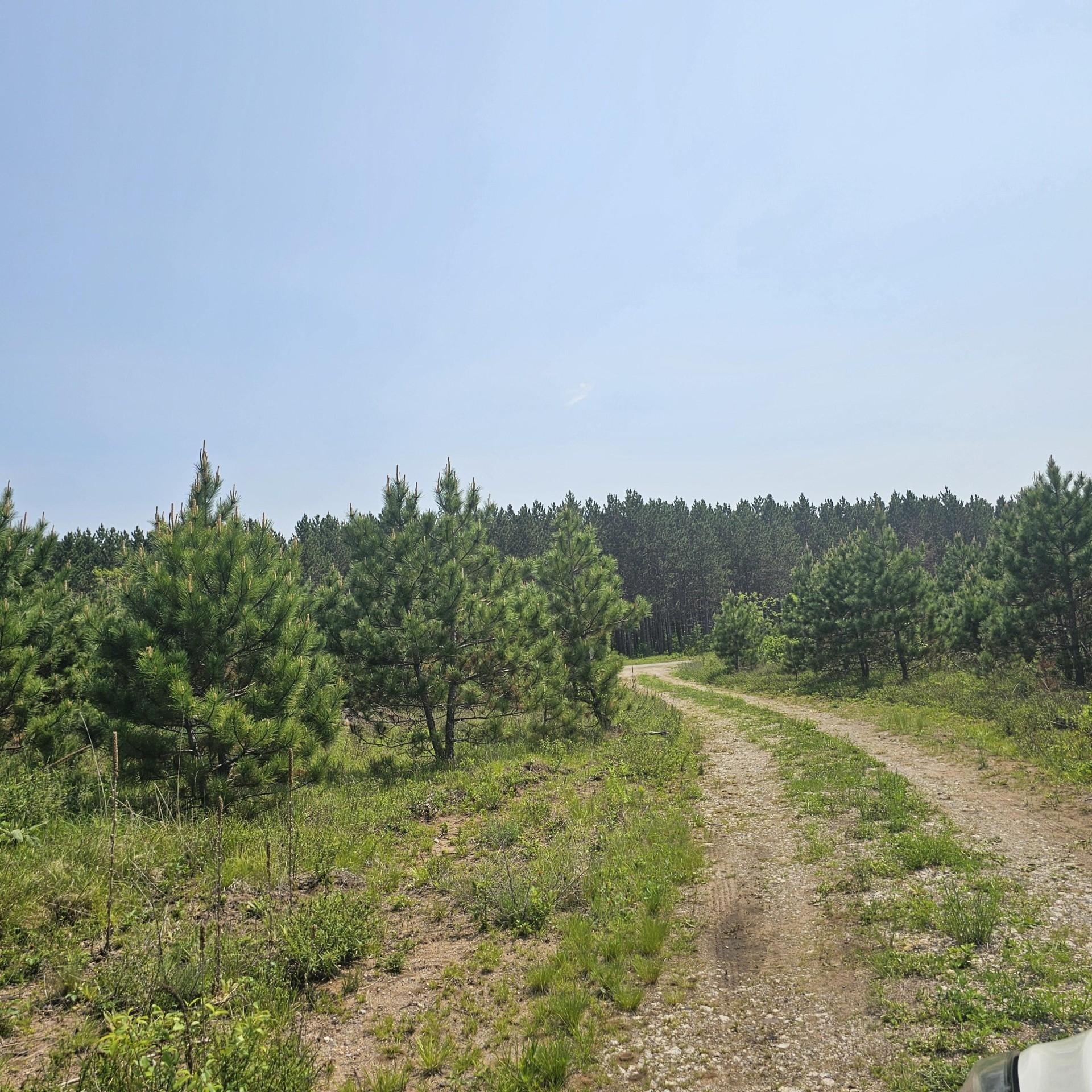 2965 Lee Road Tomahawk, WI 54487 - Photo 6 of 16 Gallery Image 6