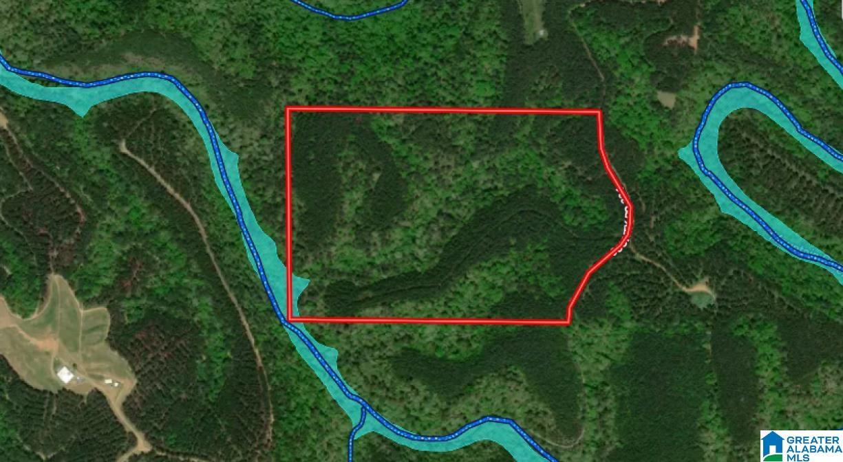 0 County Road 224, Unit 1 Fruithurst, AL 36262 - Photo 3 of 13