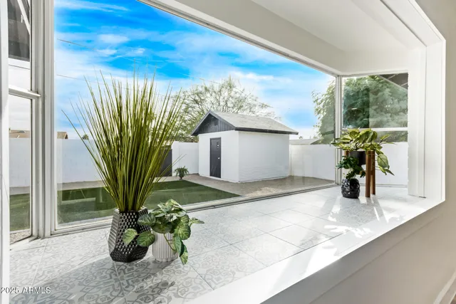 a view of a potted plant in front of a window