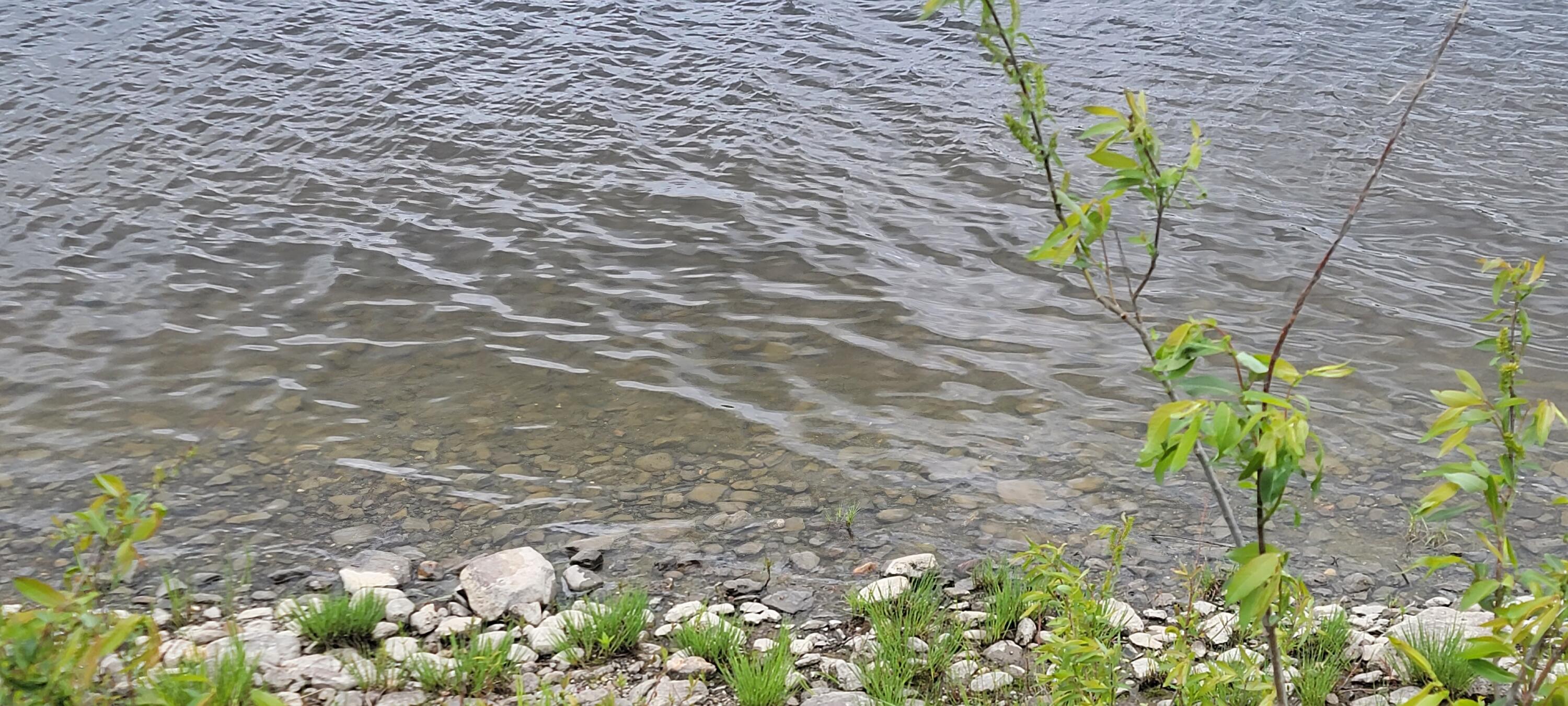 1 Rte Van Buren Me 04785 Route Van Buren, ME 04785 - Photo 12 of 27 Nice gentle slope to River