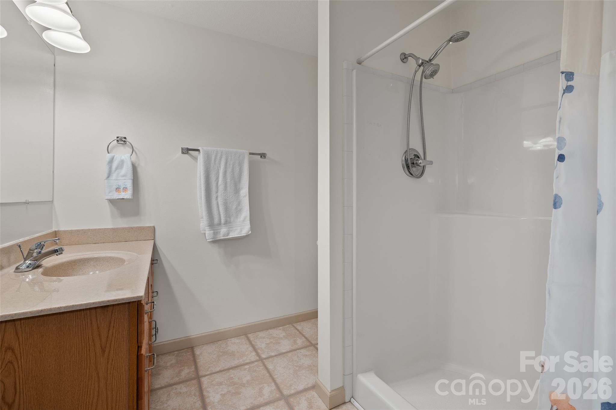 215 Atkins Loop Lake Junaluska, NC 28745 - Photo 26 of 44 a bathroom with a sink a mirror and shower