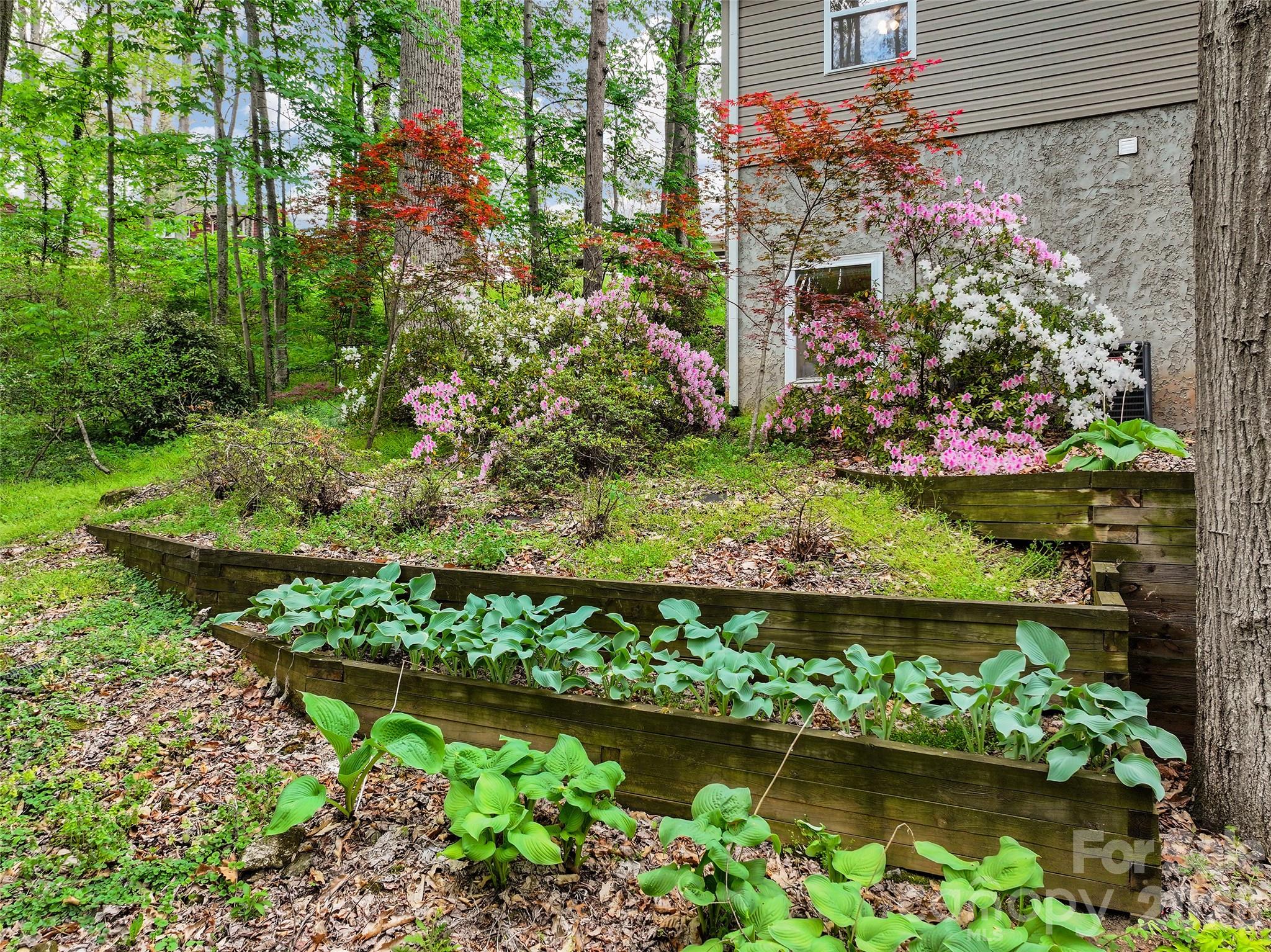 215 Atkins Loop Lake Junaluska, NC 28745 - Photo 40 of 44 a bunch of flowers are in a garden