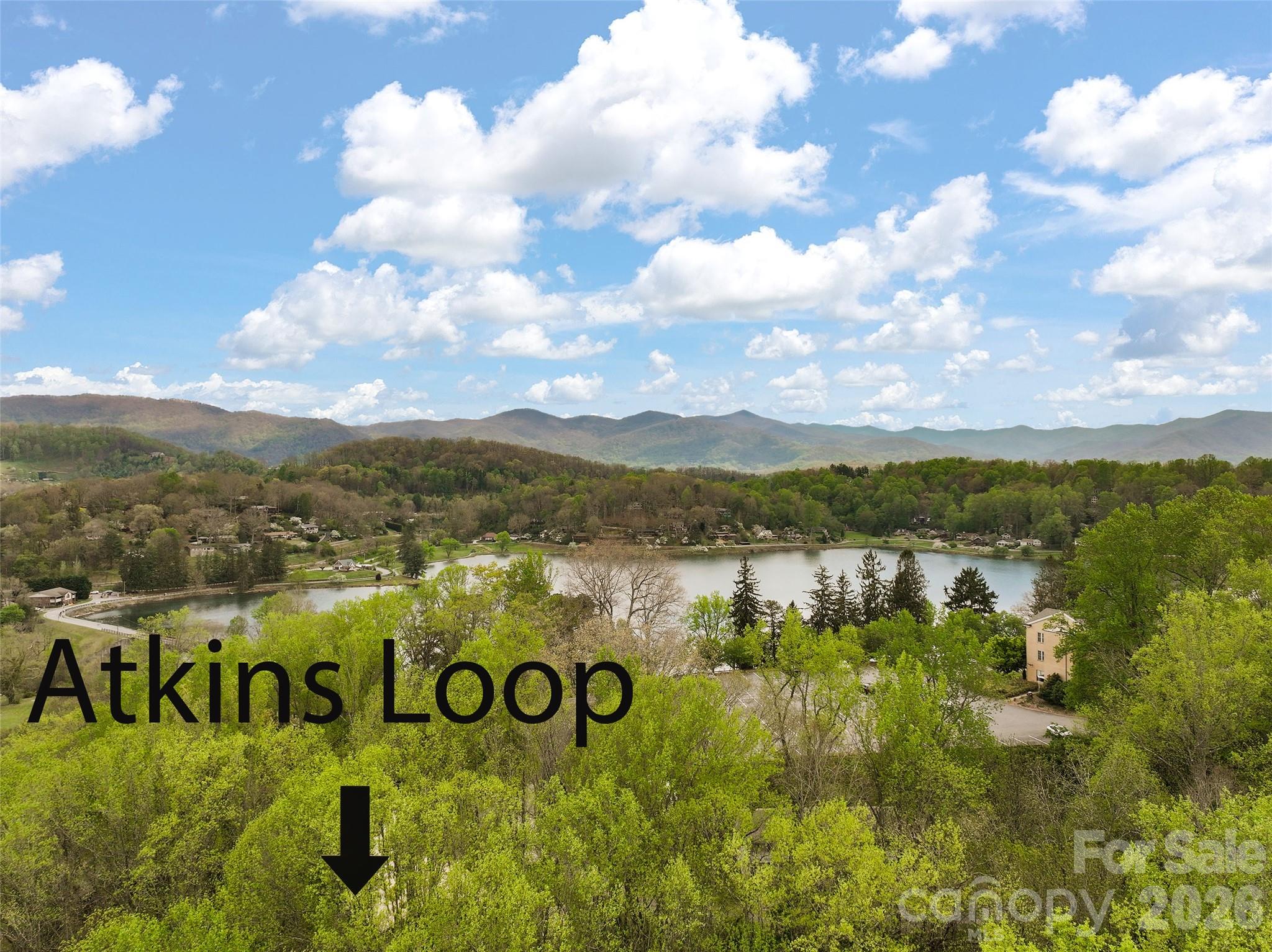 215 Atkins Loop Lake Junaluska, NC 28745 - Photo 43 of 44 a view of a lake with houses in the back