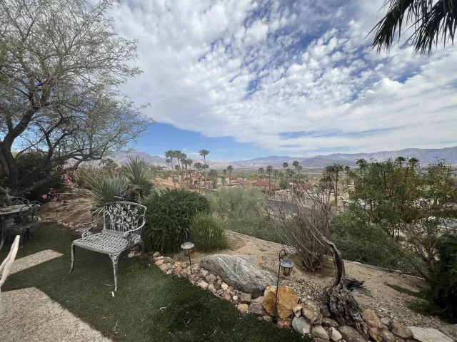 a view of a yard with palm tree