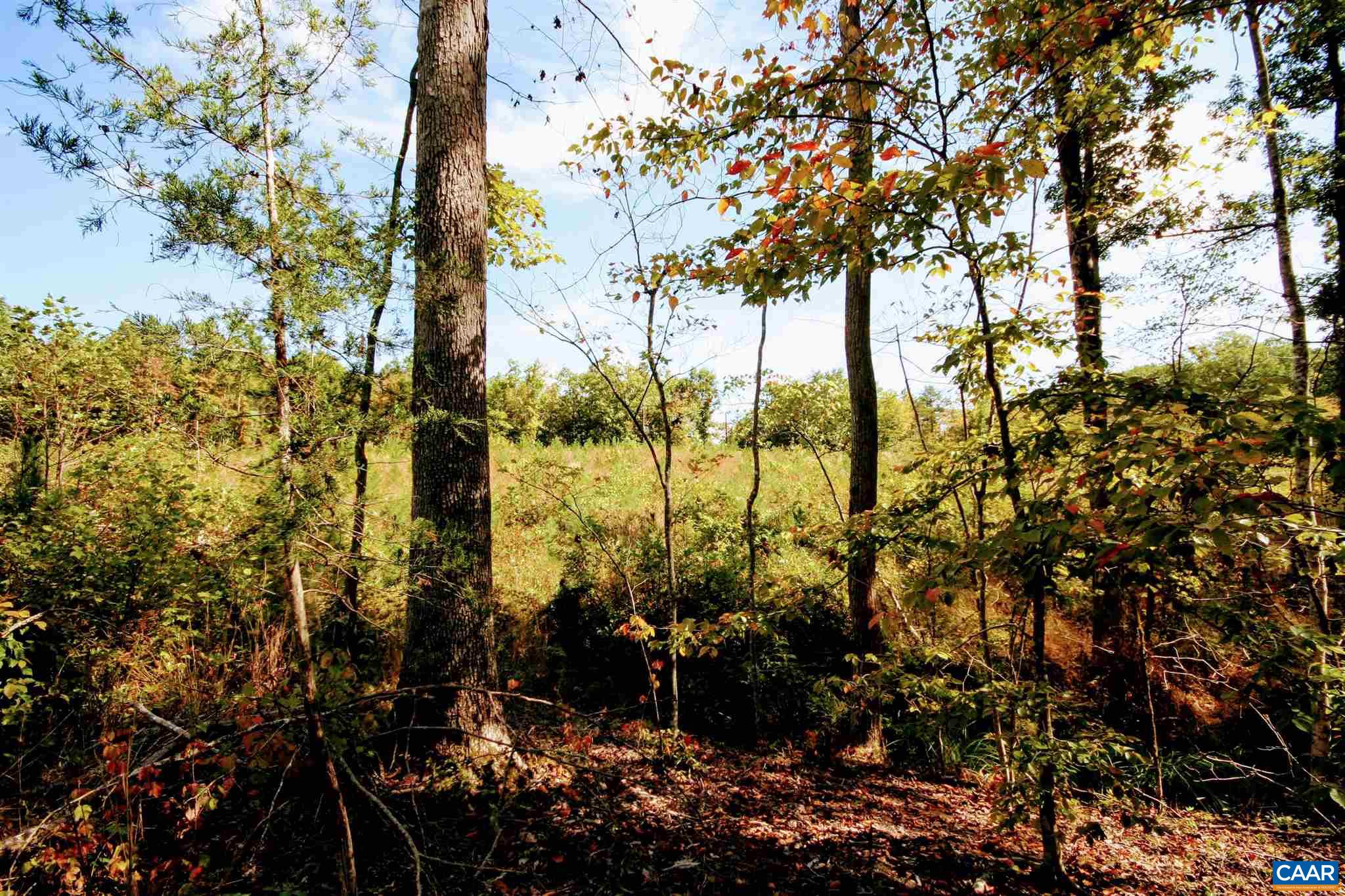 Tba Lot 2 Glover Hill Road Buckingham, VA 23921 - Photo 32 of 39 a view of lake view