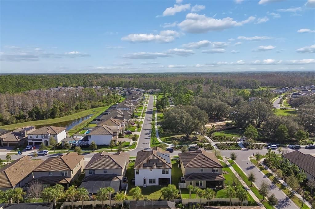 4300 Burdick Loop Odessa, FL 33556 - Photo 2 of 45