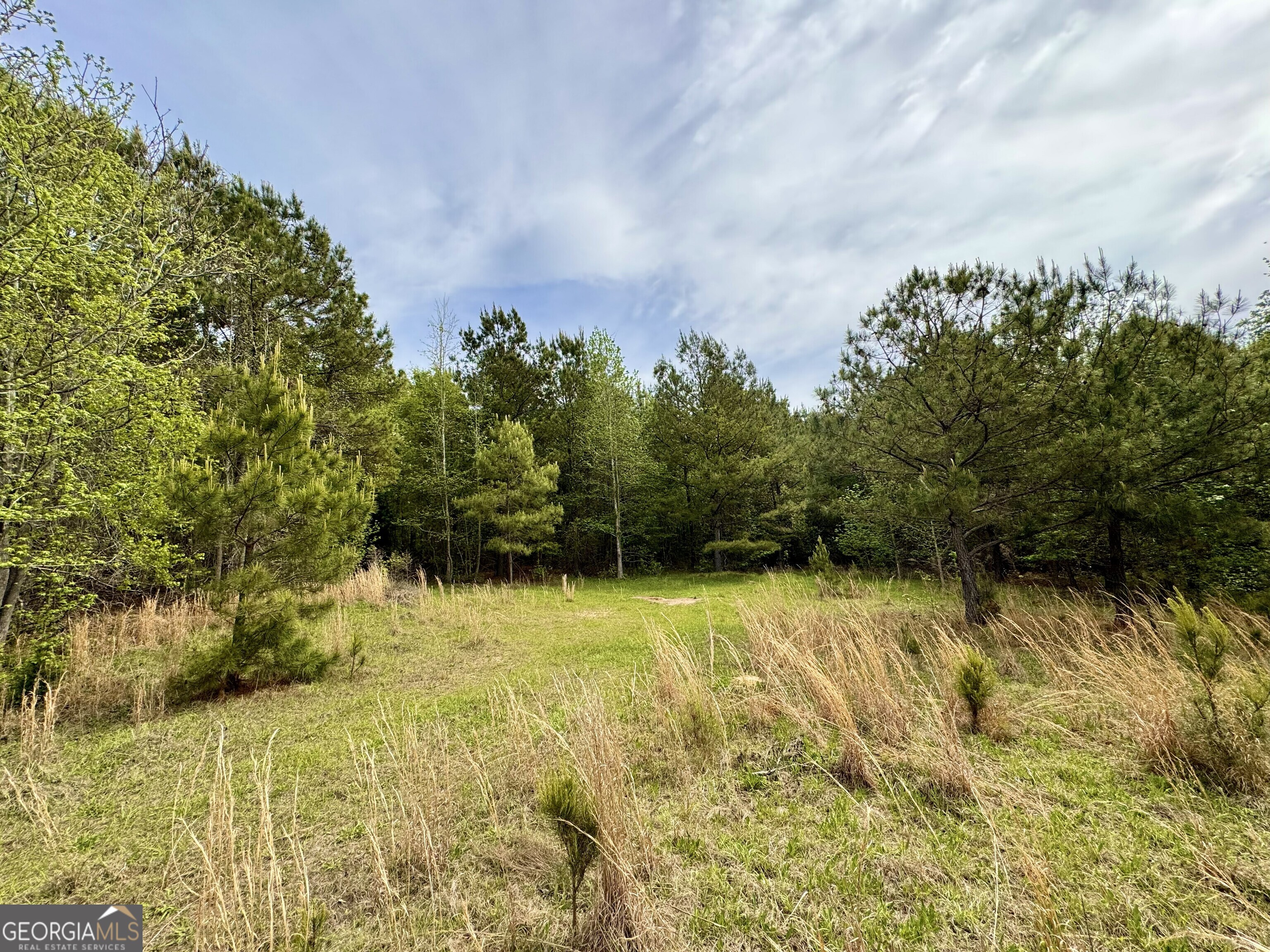 1 Roy Lawrence Road Sparta, GA 31087 - Photo 13 of 33