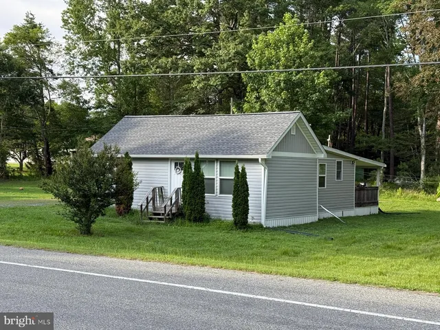 a view of a house with a yard plants and large tree
