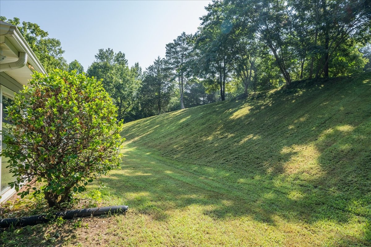 8449 Biggs Road Nashville, TN 37209 - Photo 28 of 42 Gallery Image 28