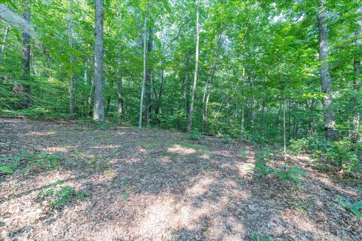 8449 Biggs Road Nashville, TN 37209 - Photo 40 of 42 Gallery Image 40