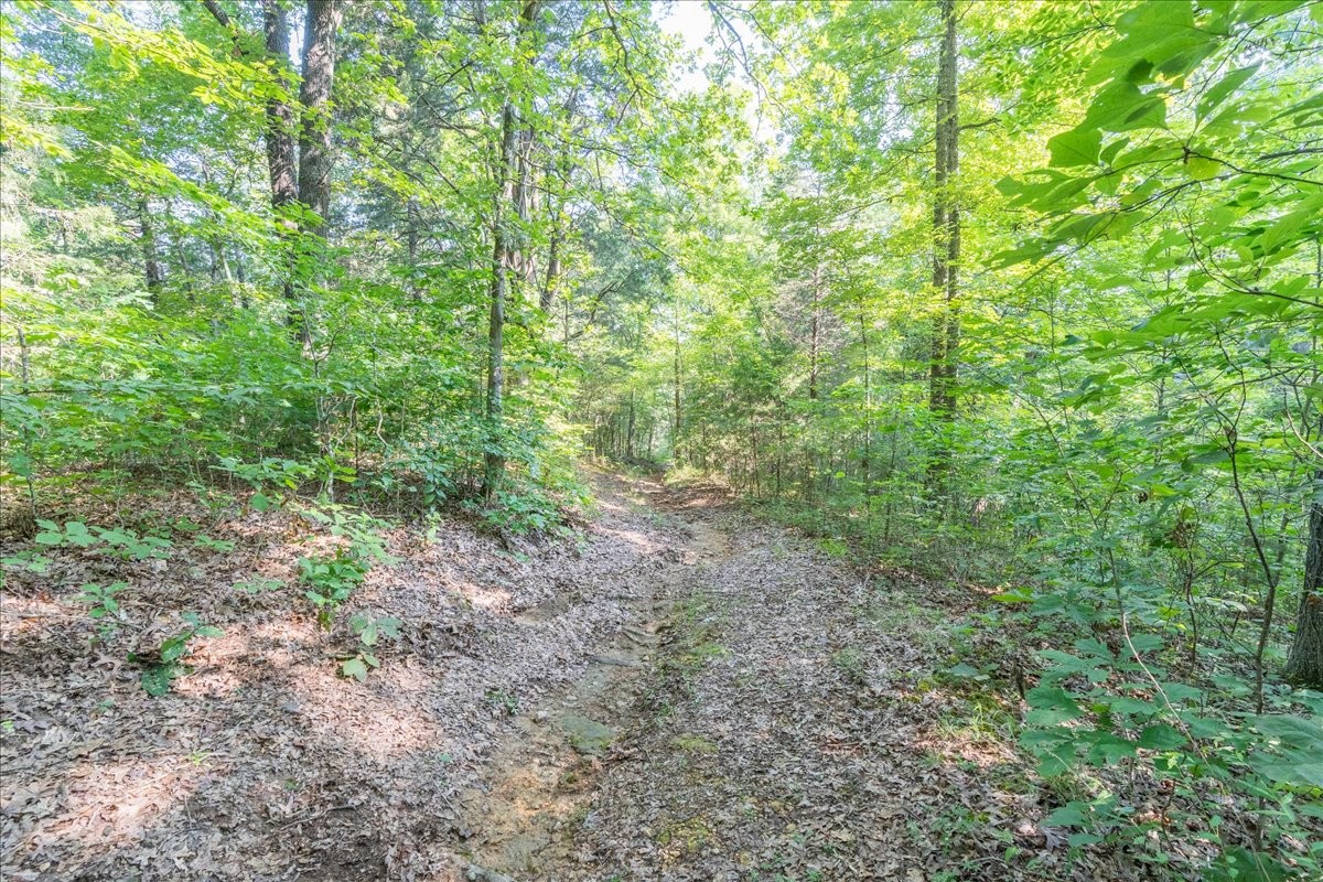 8449 Biggs Road Nashville, TN 37209 - Photo 41 of 42 Gallery Image 41