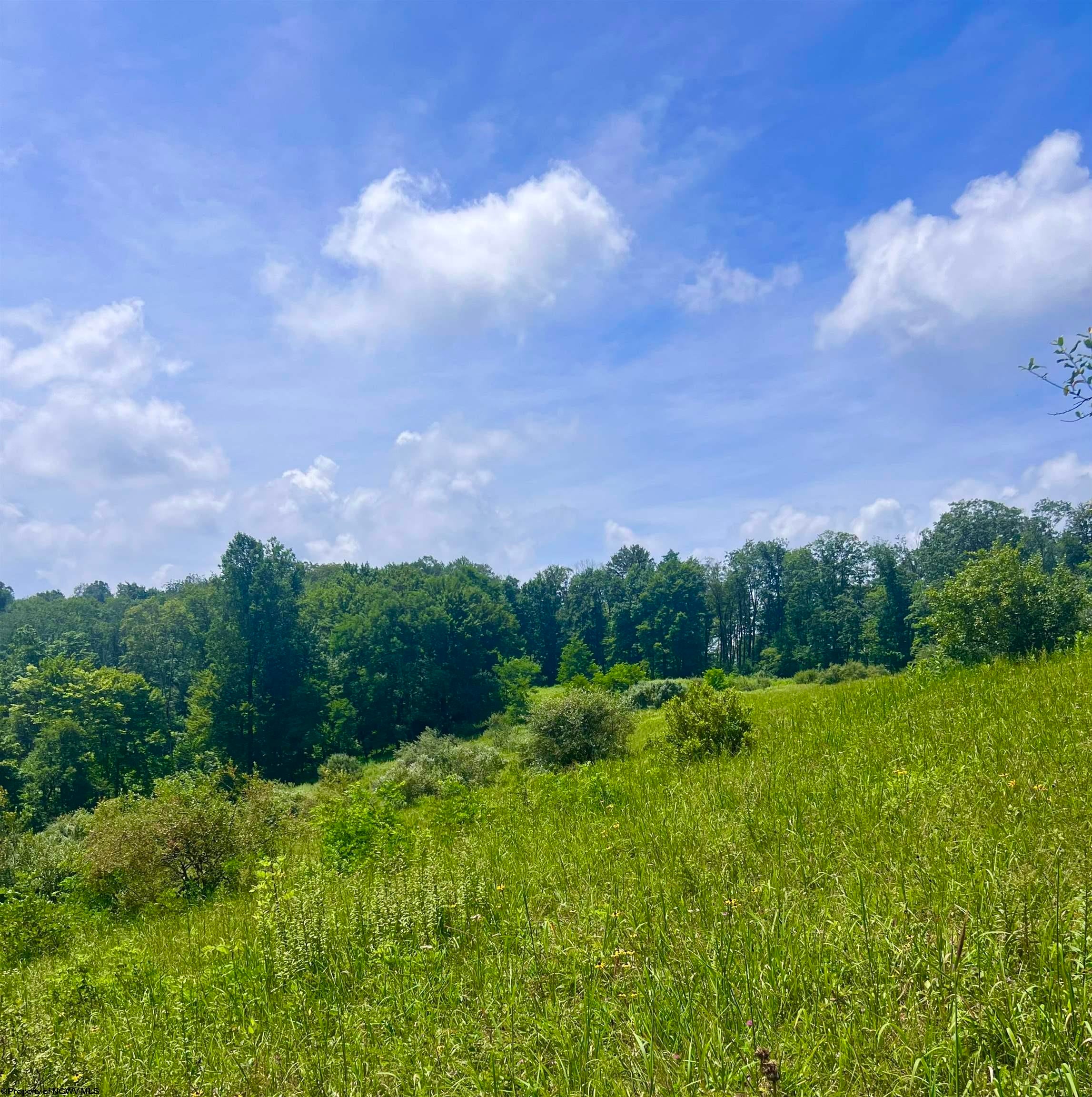 738 Jonathan Run Parsons, WV 26287 - Photo 12 of 21 Gallery Image 12