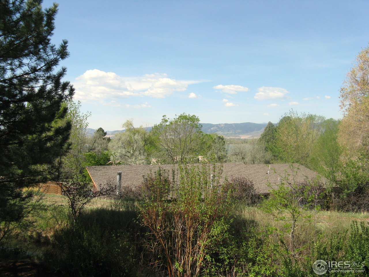 3515 Terry Ridge Road Fort Collins, CO 80524 - Photo 23 of 23 Gallery Image 23