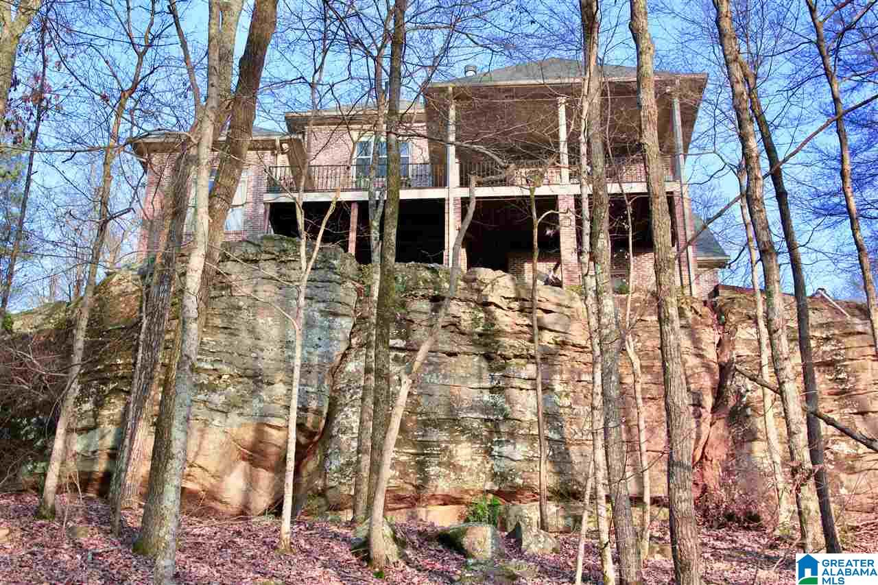 118 Shades Crest Road Birmingham, AL 35226 - Photo 44 of 50 Gallery Image 44