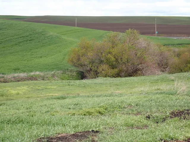 $420,000 | 51 Emerson Road, Uniontown, WA 99179