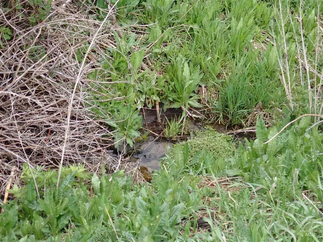 $420,000 | 51 Emerson Road, Uniontown, WA 99179