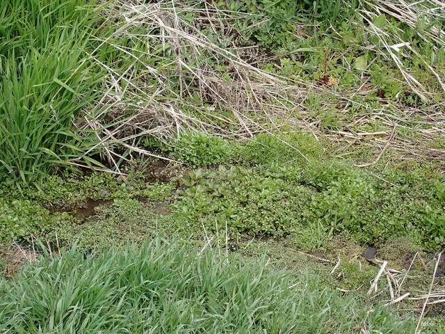 $420,000 | 51 Emerson Road, Uniontown, WA 99179