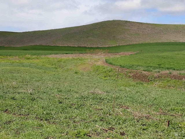 $420,000 | 51 Emerson Road, Uniontown, WA 99179