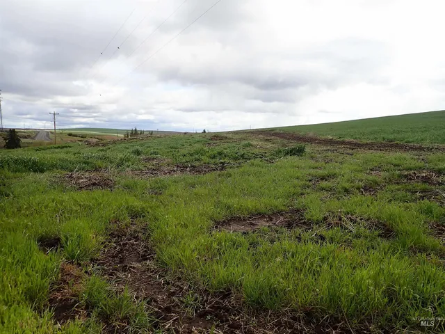 $420,000 | 51 Emerson Road, Uniontown, WA 99179