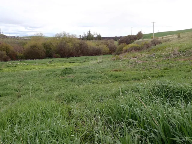 $420,000 | 51 Emerson Road, Uniontown, WA 99179