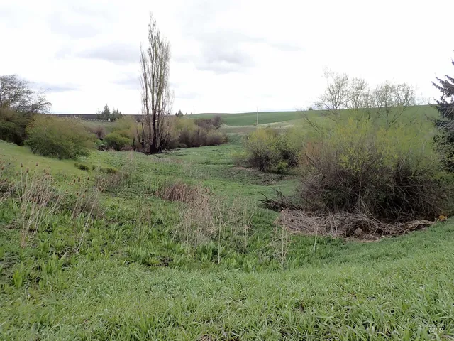 $420,000 | 51 Emerson Road, Uniontown, WA 99179