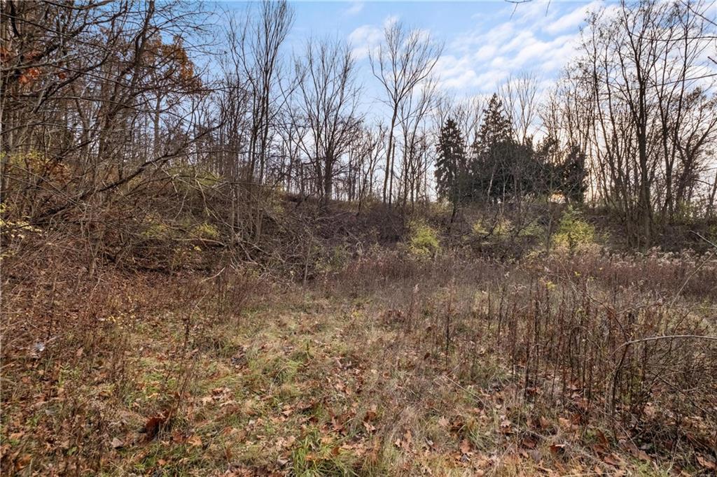 297 Glade Mills Road Valencia, PA 16059 - Photo 15 of 17 a view of forest