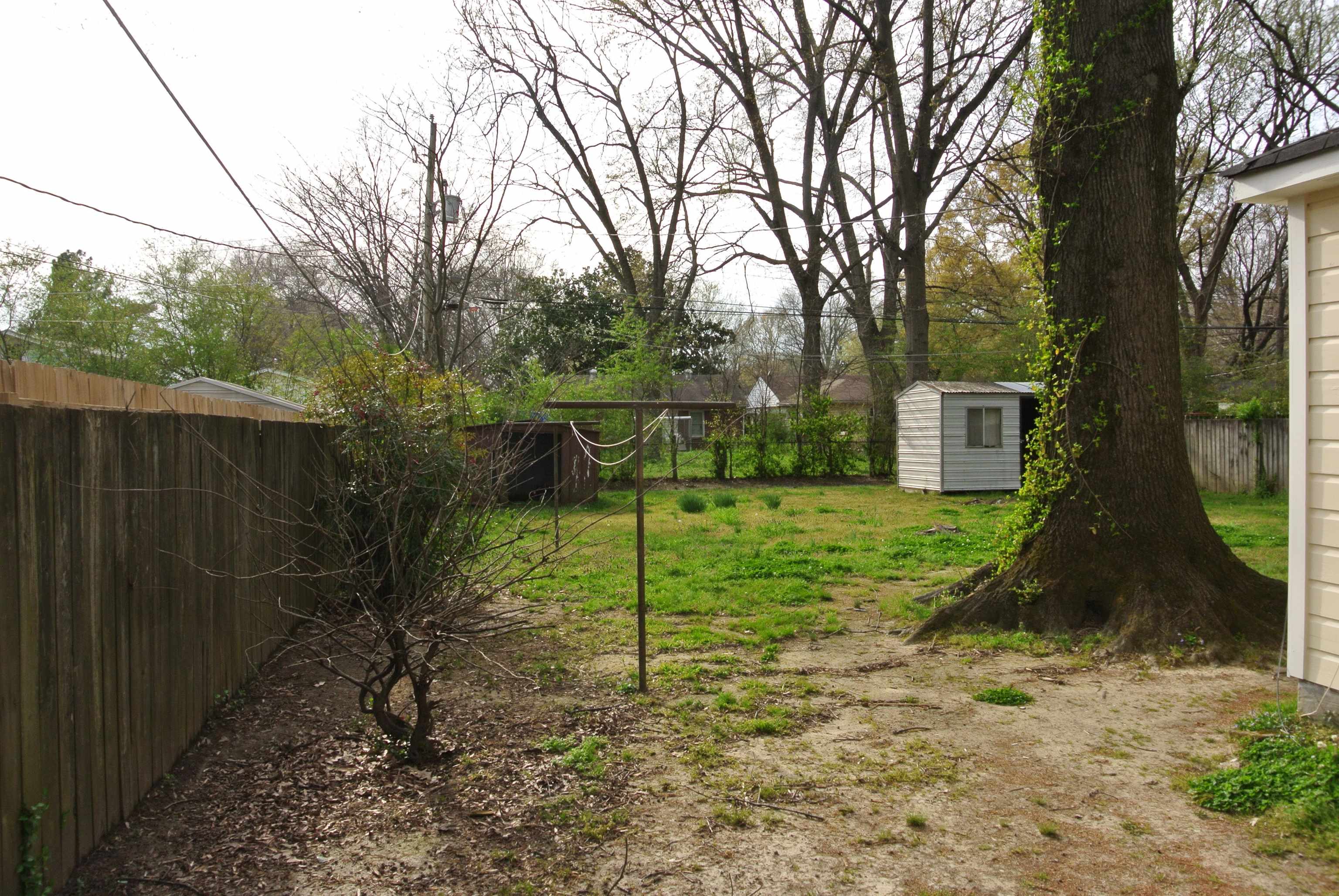 1453 Colonial Road Memphis, TN 38117 - Photo 18 of 19 a view of a backyard