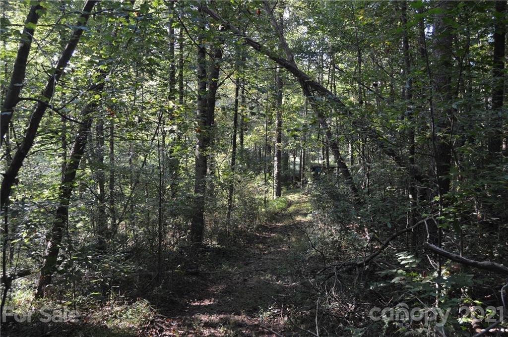 129 Pressly Farm Road Stony Point, NC 28678 - Photo 12 of 44 Gallery Image 12