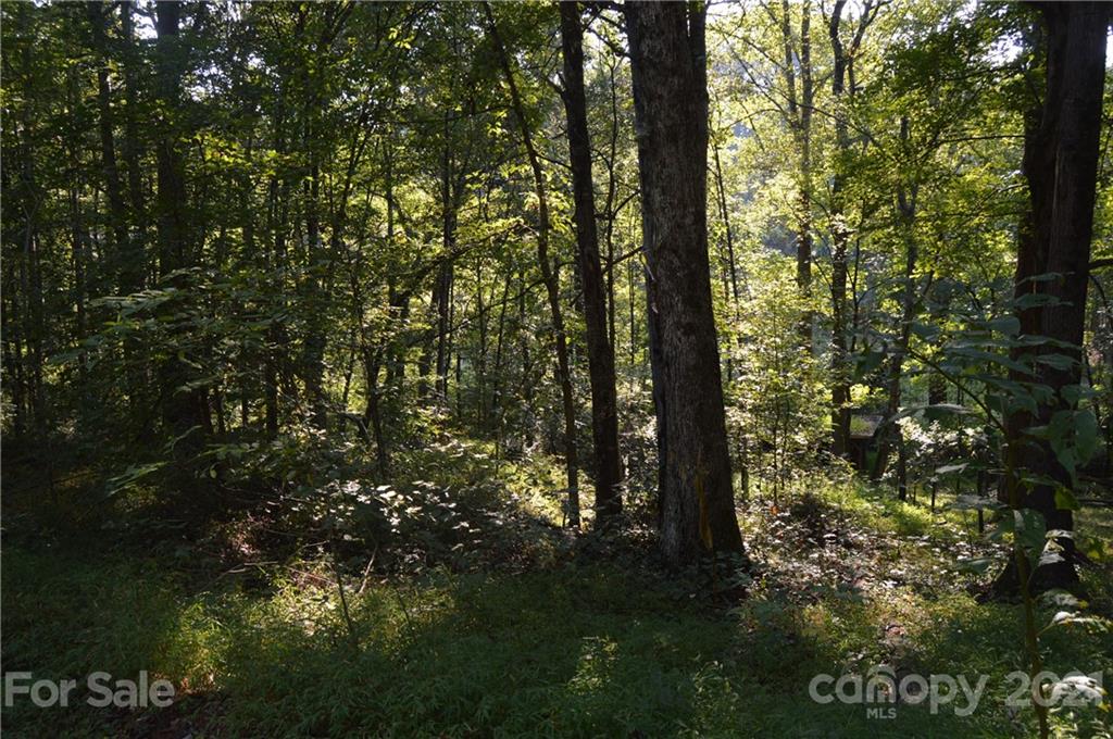 129 Pressly Farm Road Stony Point, NC 28678 - Photo 9 of 44 Gallery Image 9