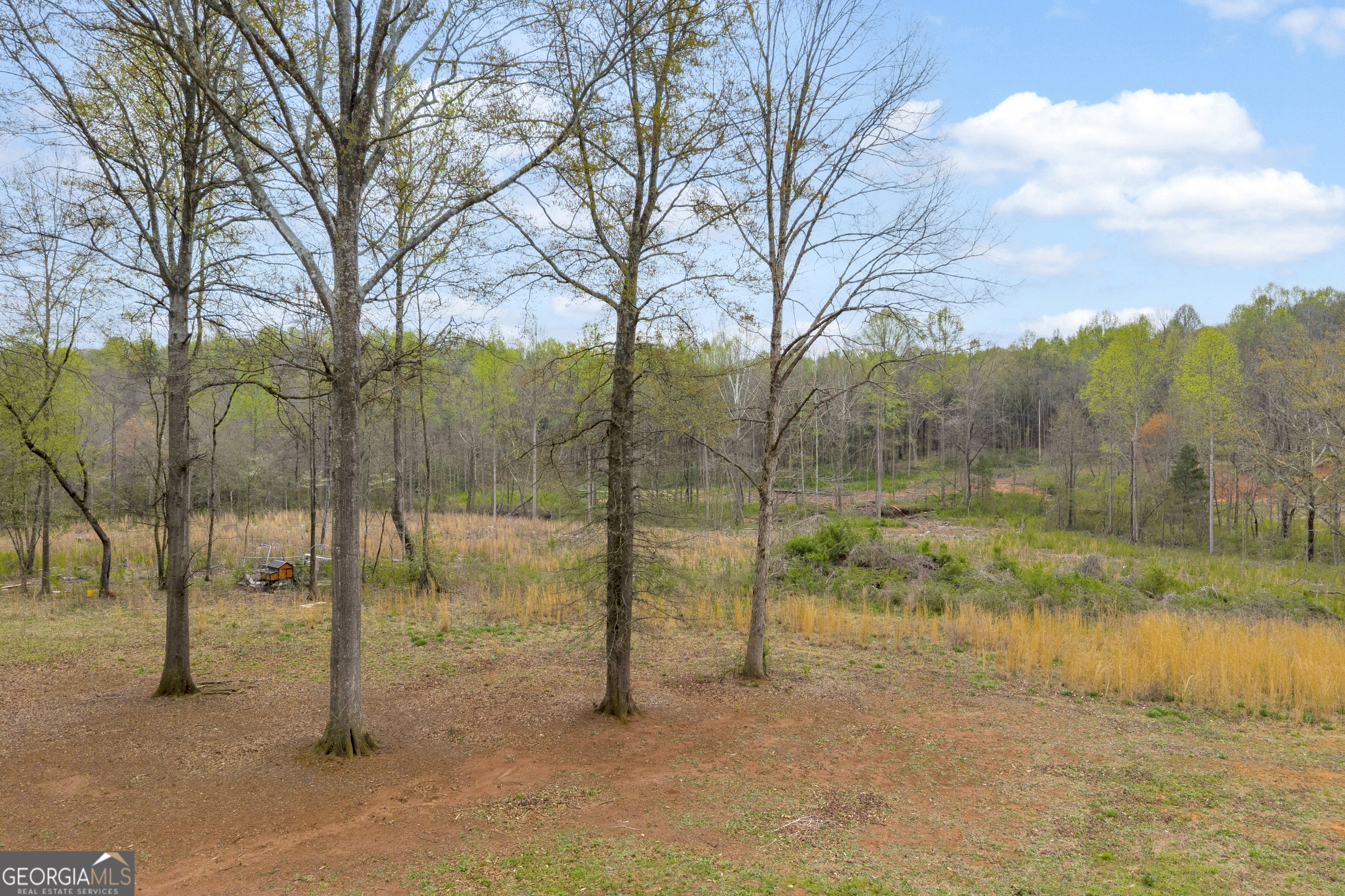 1934 Pleasant Hill Road Martin, GA 30557 - Photo 16 of 43