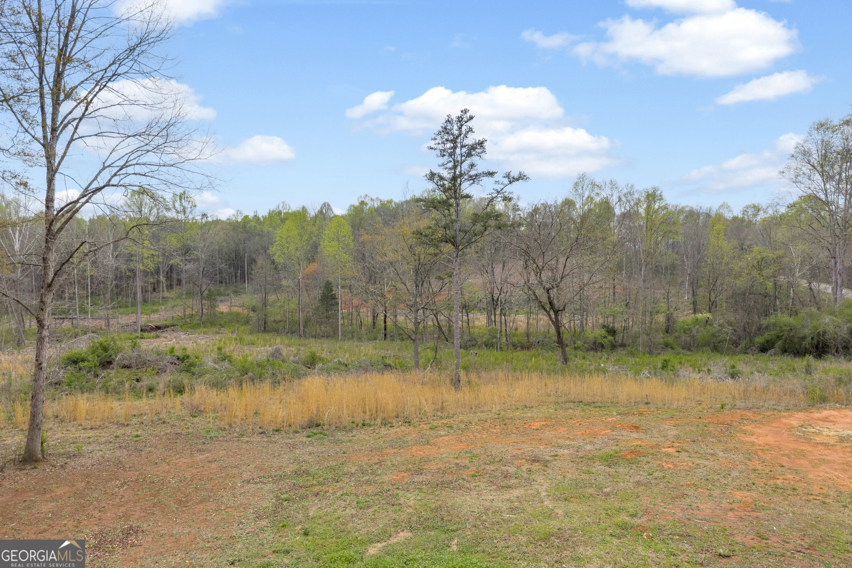 1934 Pleasant Hill Road Martin, GA 30557 - Photo 17 of 43