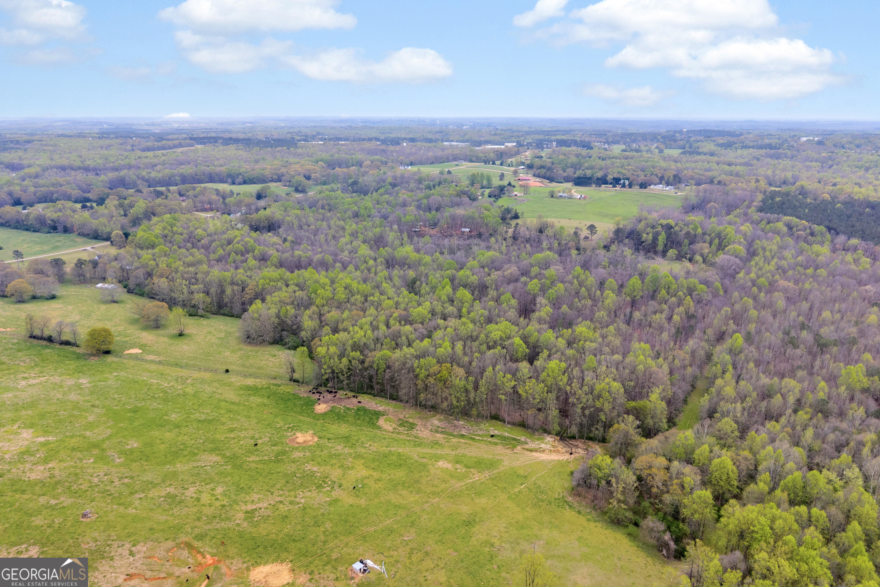 1934 Pleasant Hill Road Martin, GA 30557 - Photo 25 of 43