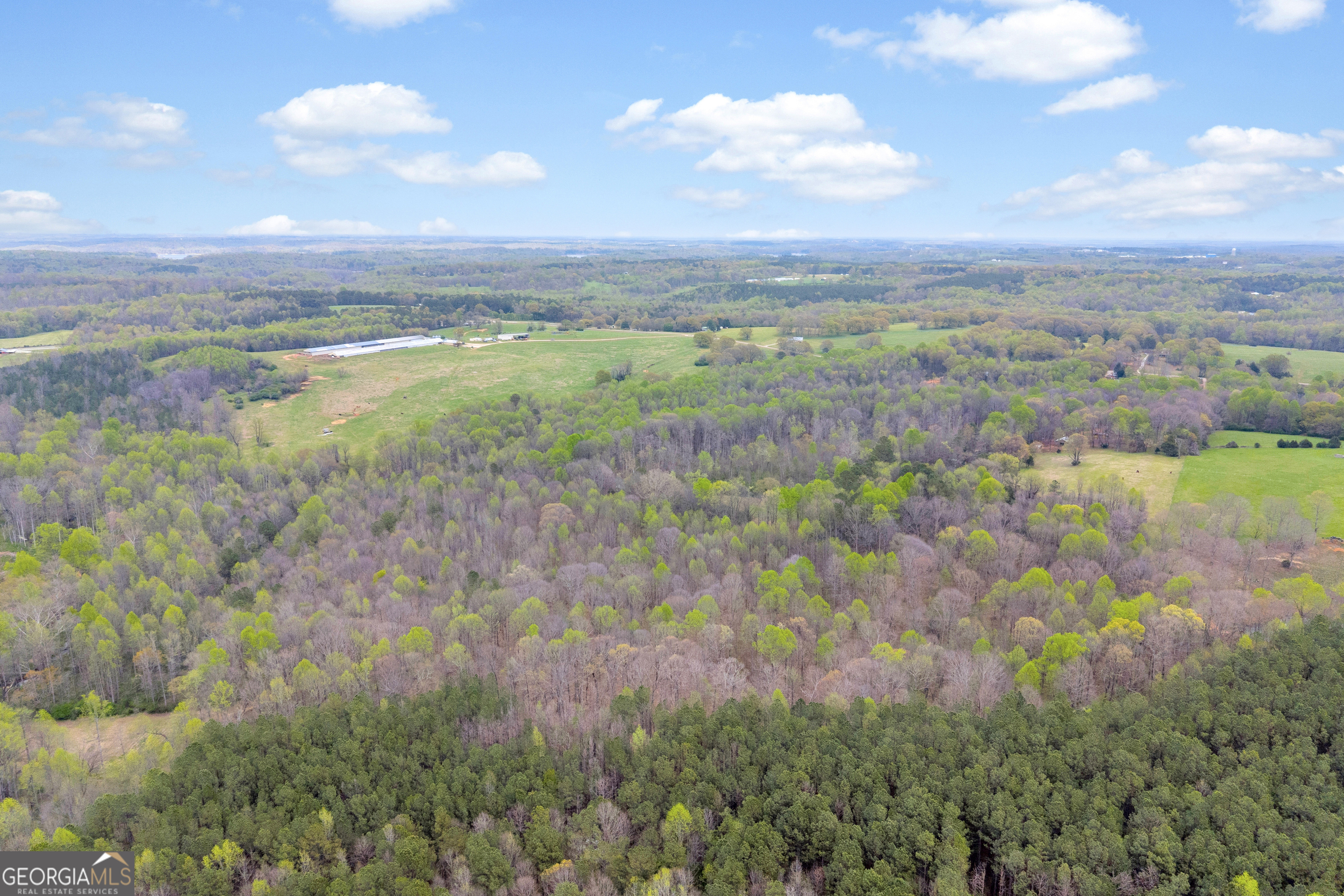 1934 Pleasant Hill Road Martin, GA 30557 - Photo 28 of 43