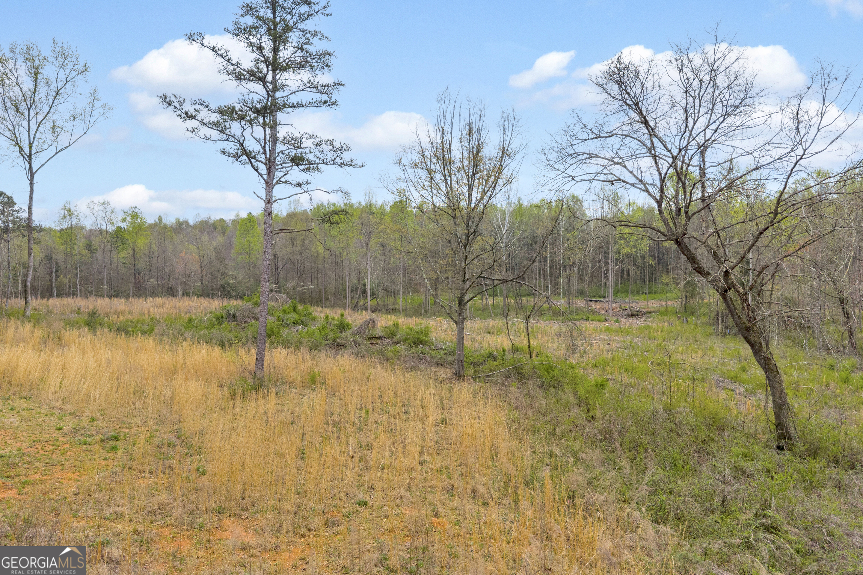 1934 Pleasant Hill Road Martin, GA 30557 - Photo 32 of 43