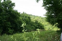 0 Sweet Water Road Liberty, TN 37095 - Photo 1 of 3