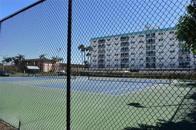 a view of a backyard with plants and palm tree