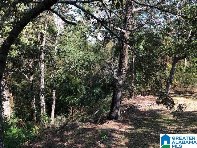 1806 Carson Road North, Unit 1 Birmingham, AL 35217 - Photo 1 of 1