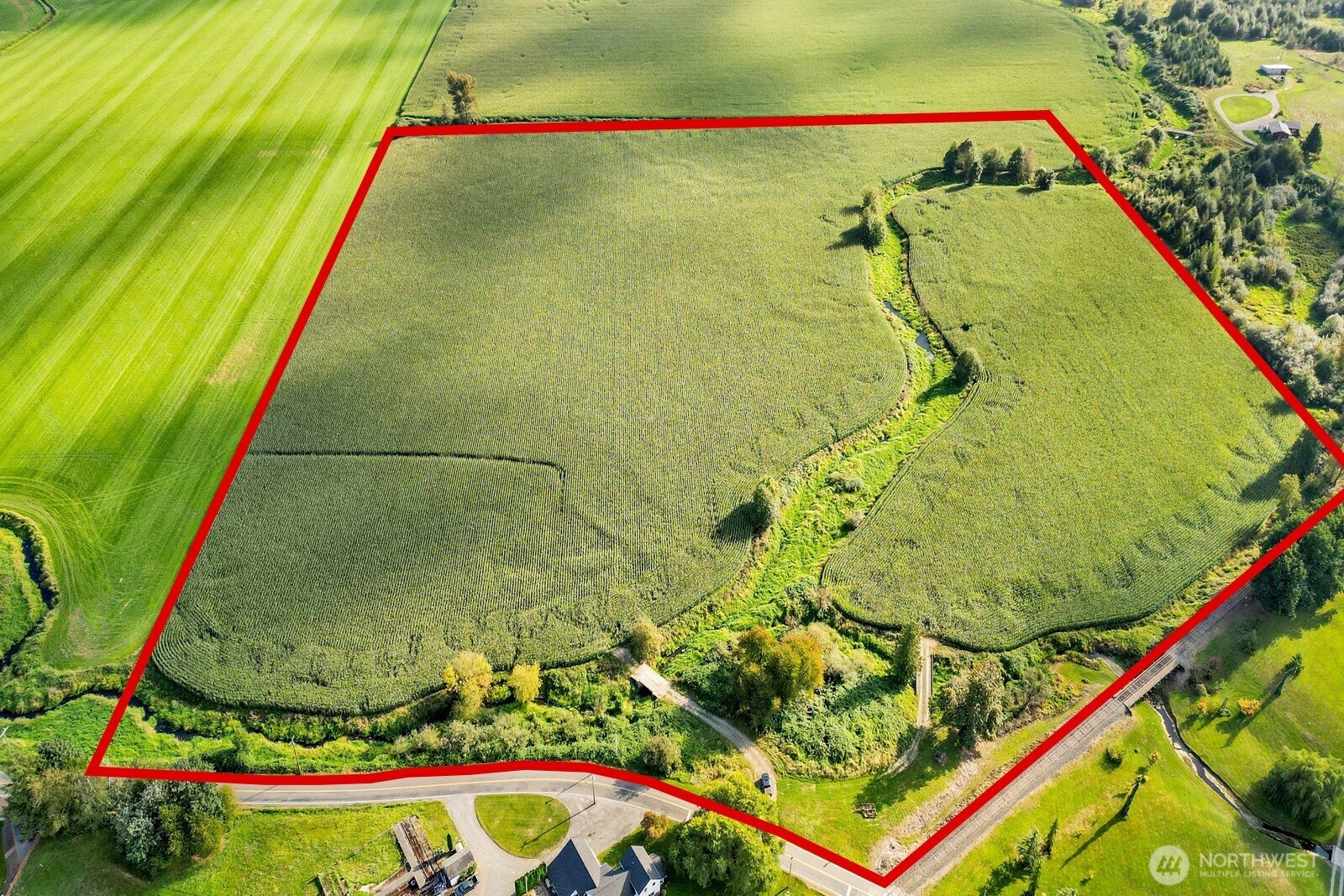 a view of swimming pool