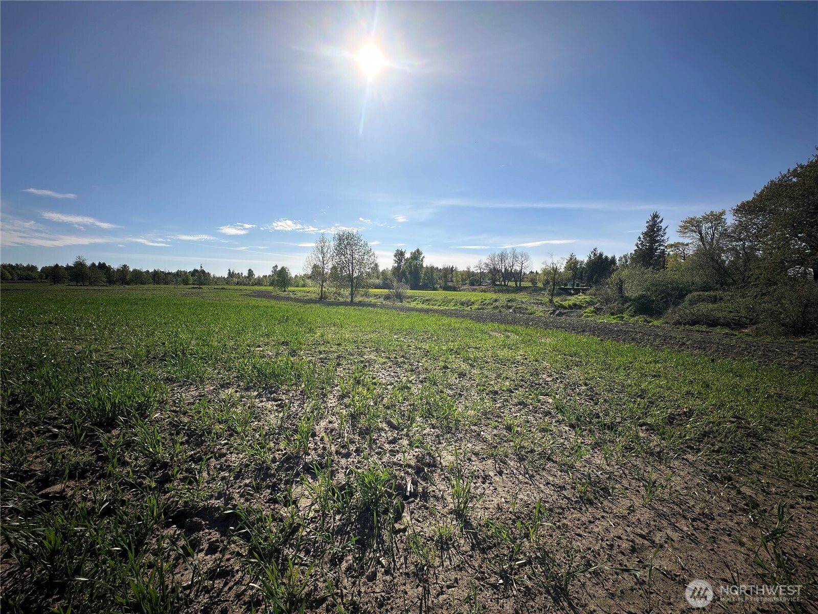 0 Clearbrook Road Sumas, WA 98295 - Photo 12 of 33 a view of a green field