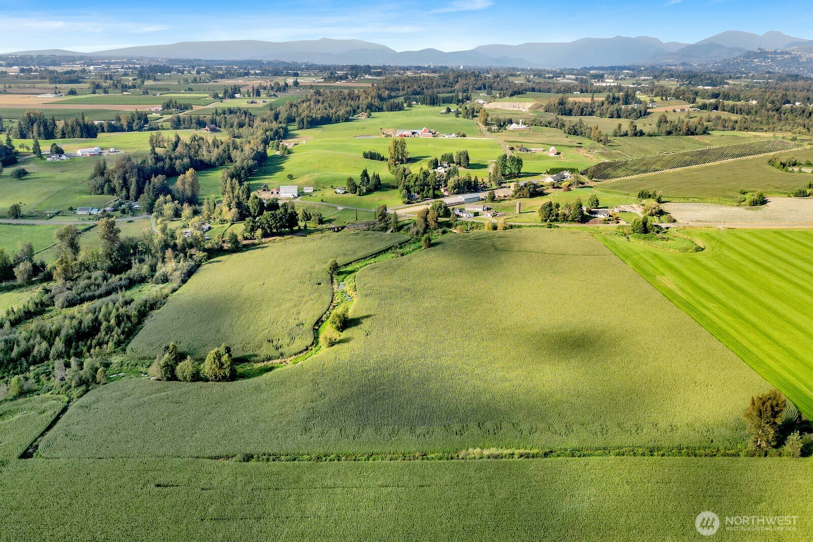 0 Clearbrook Road Sumas, WA 98295 - Photo 30 of 33 a view of a lake with a mountain