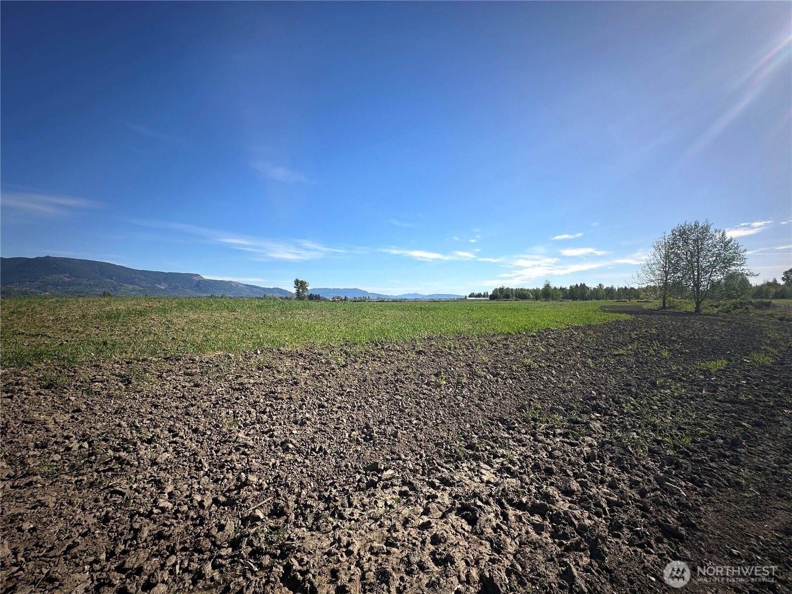 0 Clearbrook Road Sumas, WA 98295 - Photo 6 of 33 a view of a large green field