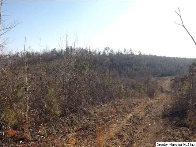 286 County Road, Unit 85 Collinsville, AL 35961 - Photo 6 of 23