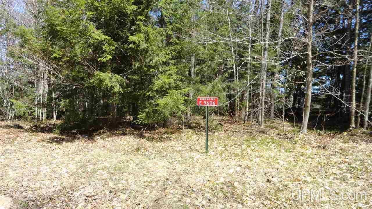 E9606 South Town Line Lake Road Wetmore, MI 49895 - Photo 4 of 6