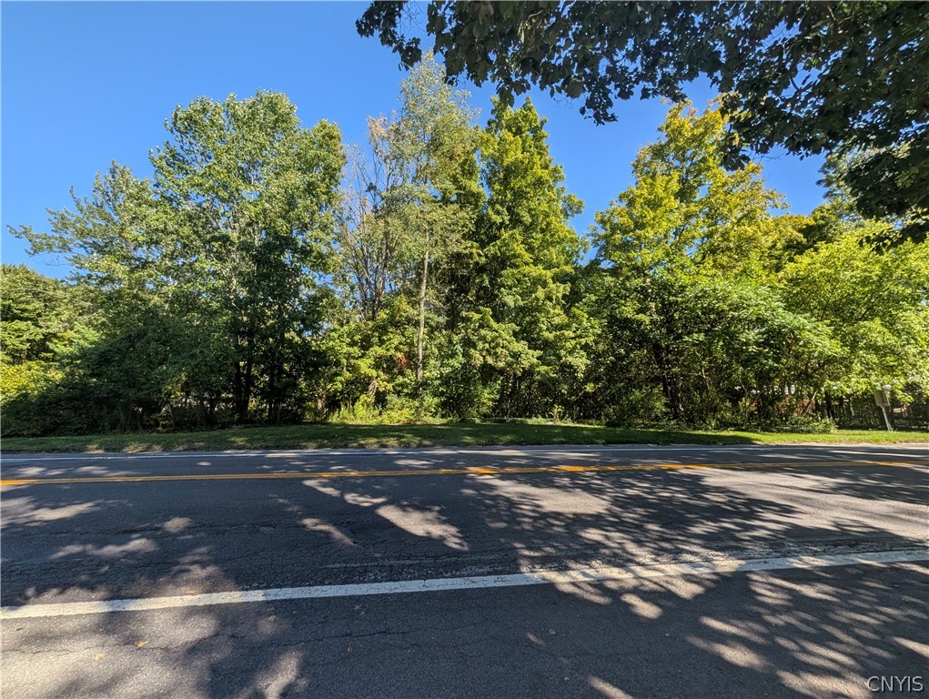 13 East Nys Route Blossvale, NY 13308 - Photo 2 of 13 Gallery Image 2