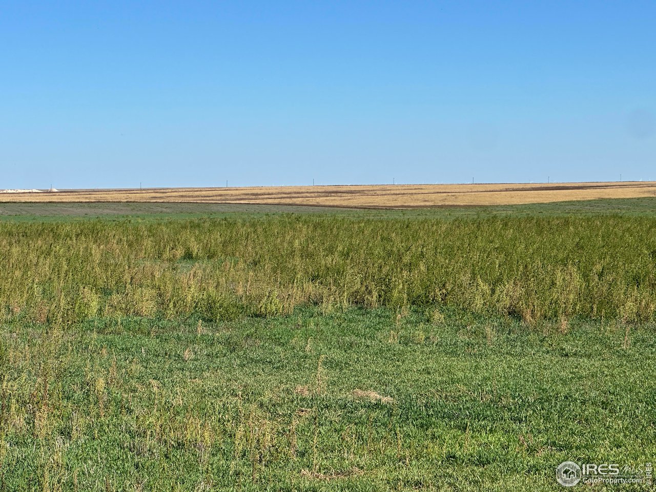 18807 County Road P Kit Carson, CO 80825 - Photo 33 of 39