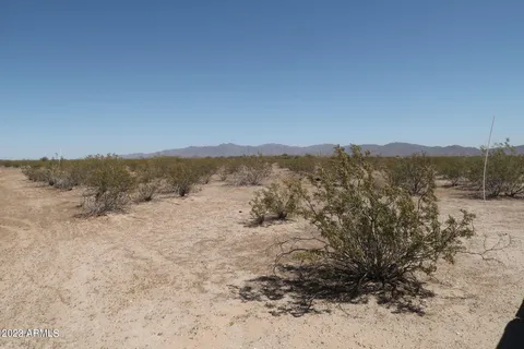 a view of a dry field with trees in background